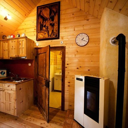 Domacija Koklej - Apartments Vintage Vacation Luče 外观 照片