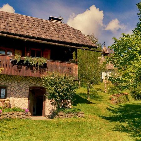Domacija Koklej - Apartments Vintage Vacation Luče 外观 照片