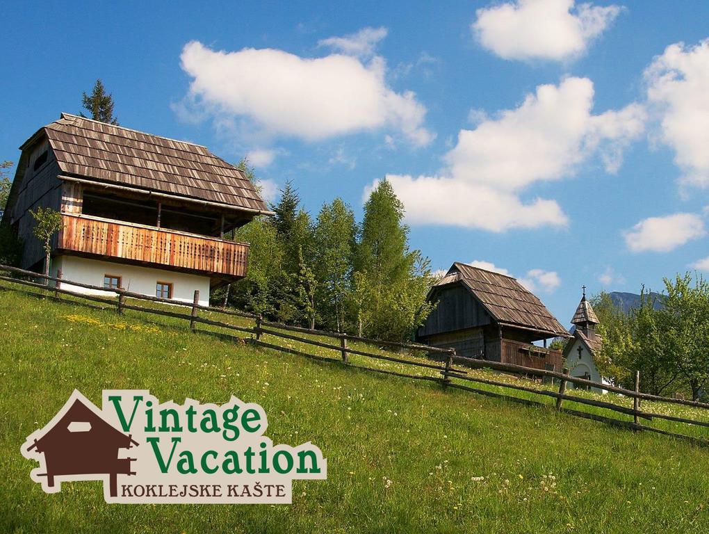 Domacija Koklej - Apartments Vintage Vacation Luče 外观 照片