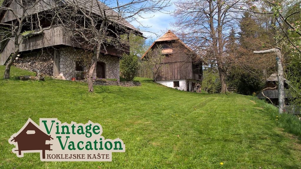 Domacija Koklej - Apartments Vintage Vacation Luče 外观 照片