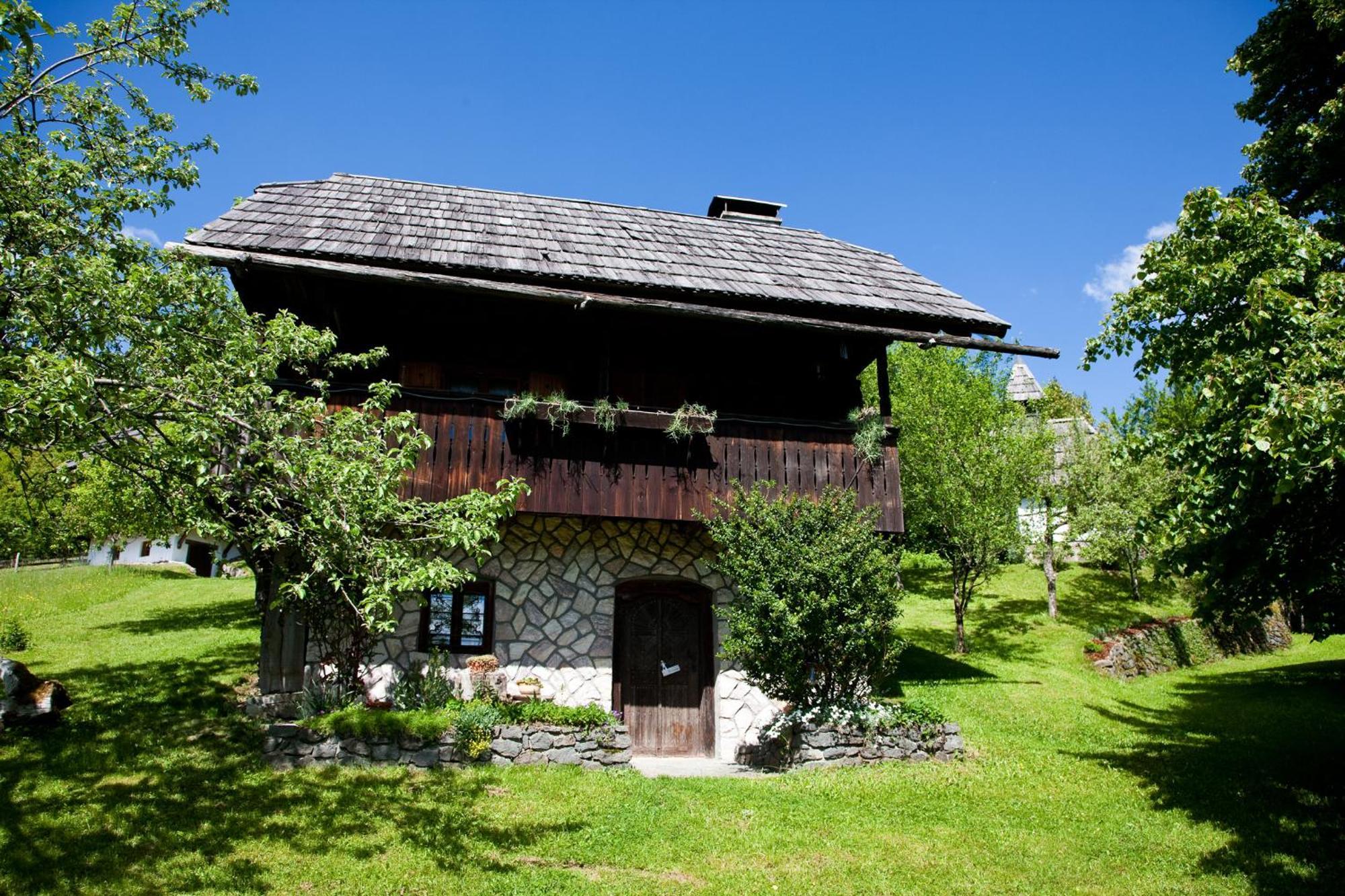 Domacija Koklej - Apartments Vintage Vacation Luče 外观 照片