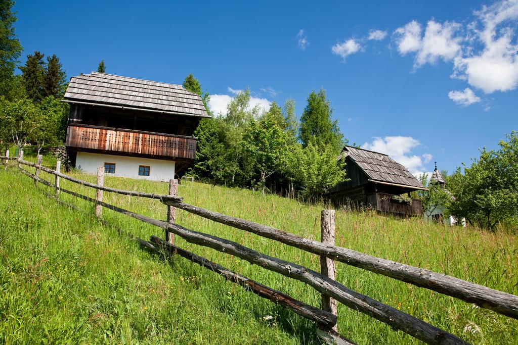 Domacija Koklej - Apartments Vintage Vacation Luče 外观 照片