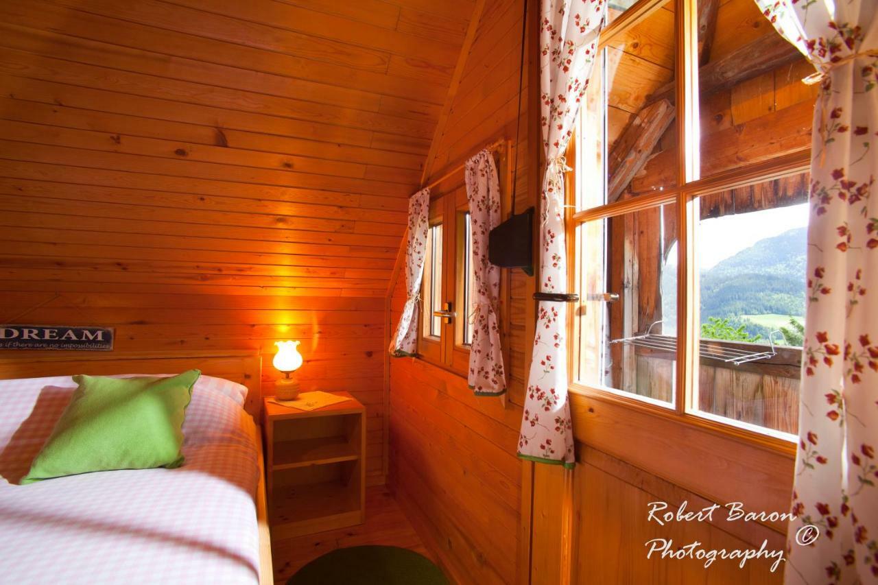 Domacija Koklej - Apartments Vintage Vacation Luče 外观 照片