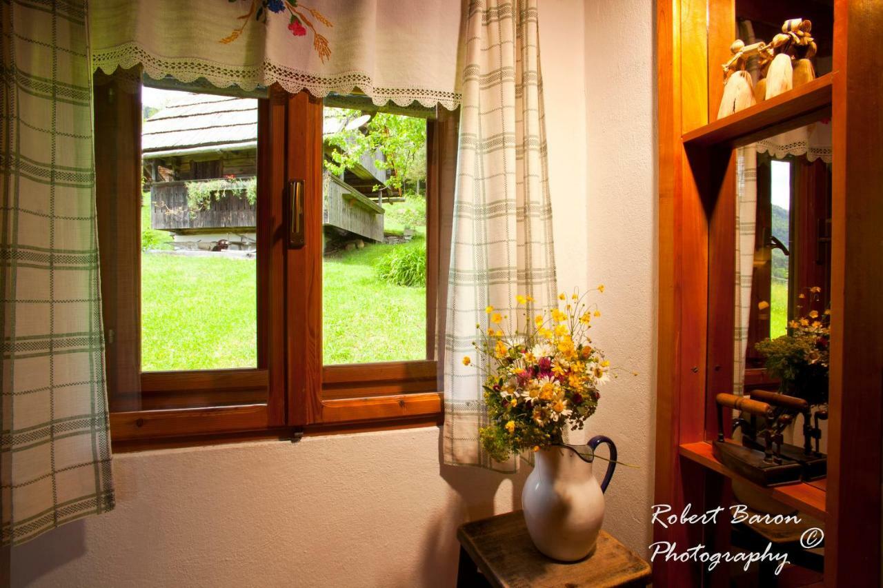 Domacija Koklej - Apartments Vintage Vacation Luče 外观 照片